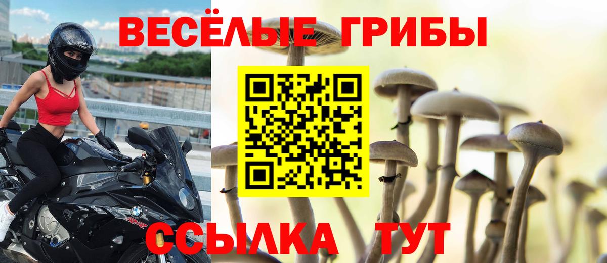 Галлюциногенные грибы MAGIC MUSHROOMS  купить  цена  Псилоцибиновые грибы мухоморы  Назрань  Вход с VPN 